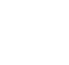 SEO Audit Icon